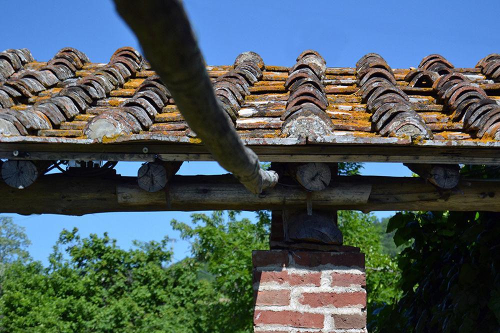 Locanda Di Praticino Petrognano  Εξωτερικό φωτογραφία